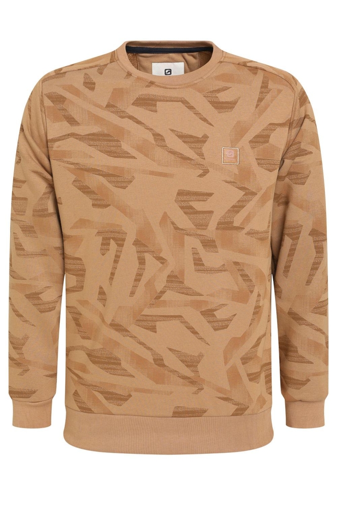 SWEATER MET PRINT 774770 4412 khaki brown